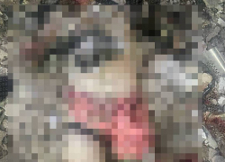 Появились фото женщины, взорвавшей здание полиции в Одесской области