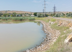 Одесские лиманы превратились в мёртвую зону — рыбы больше нет