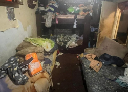 Младенец умер от голода после жизни в «свинарнике» под Одессой, соцзащита молчала