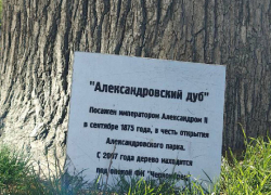 Украинские русофобы вышли на войну с деревом Александра II