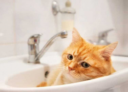 В Одессе из-за аварии отключили воду в одном из крупнейших районов