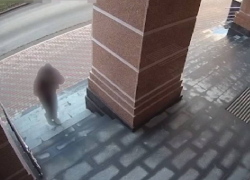 Стала известна личность одессита, организовавшего попытку теракта в ФСБ Крыма