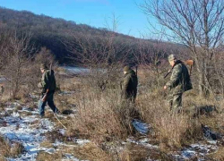 Охоту на лис и шакалов в Одесской области провели с нарушениями