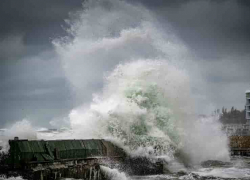 В Одессе объявили желтый уровень опасности из-за ветра, тумана и шторма в море