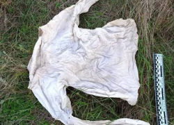 В Одесской области нашли скелет неизвестного мужчины