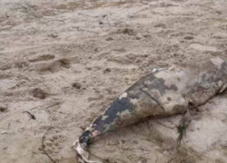 На одесском побережье обнаружили опасные загрязнения мазутом после крушения танкеров