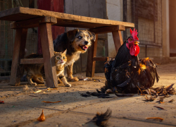 Сжигают, терзают, избивают: в Одесской области появилось новое развлечение – садизм