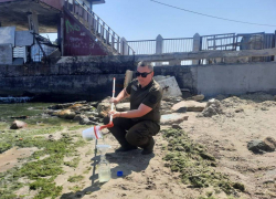 Пляжи Одессы атаковали водоросли-убийцы