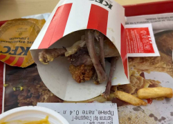 «Черная курица, сырое мясо»: одесситы пожаловались на отравления в ресторане KFC