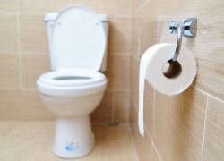 Заражение Дуная опасной инфекцией грозит Одесской области «туалетной эпидемией»