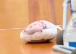 В Одессе депутаты гордумы играли вибратором с лицом экс-премьера Украины Яценюка