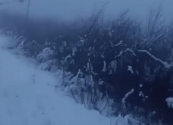 В Одессе полмиллиона человек остались без света и тепла