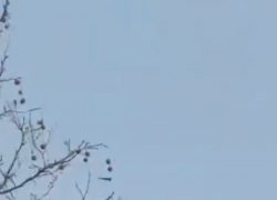 Массовую атаку беспилотников по объектам ВСУ в Одессе сняли на видео