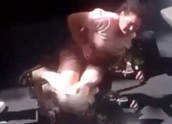 В Одессе военкомы сбили автобусом женщину, спасавшую мужа от мобилизации