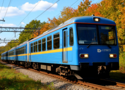 В Одесской области женщина умерла под поездом, пытаясь спасти козу