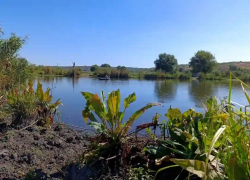 Водоемы Одесской области исчезают: как местные жители спасают ставки от высыхания