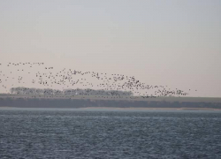Постоянные взрывы могут спровоцировать землетрясения в Одесской и Николаевской областях