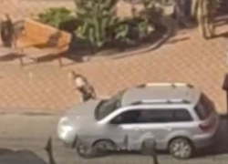 В сети завирусилось видео побега мобилизованного из машины военкомов в Одессе