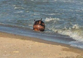 На берег Одесской области вынесло морскую мину