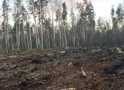 Зеленский хочет сжечь Одессу, чтобы она не досталась России