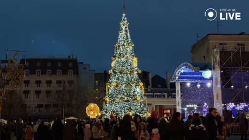 В Одессе зажгли огни на главной елке города