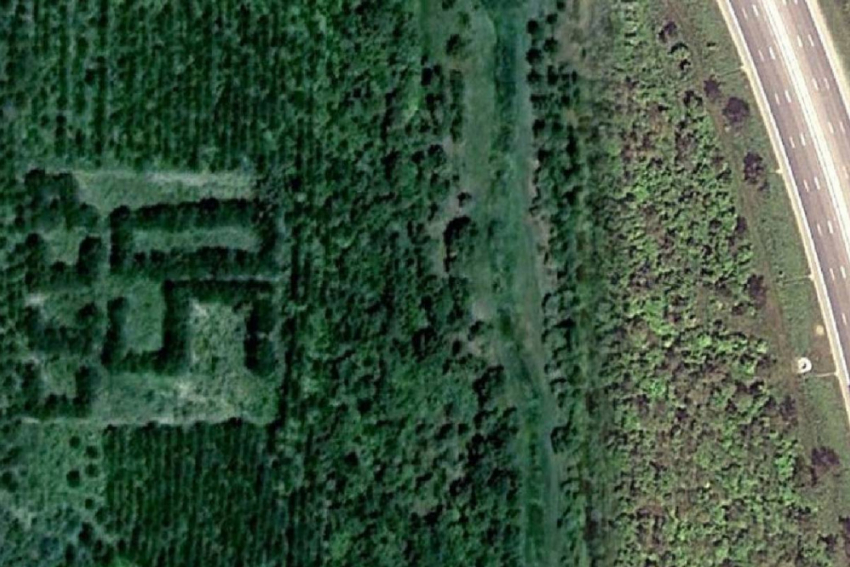 В Одессе решили вырубить «зеленого Ленина» в борьбе с русской культурой