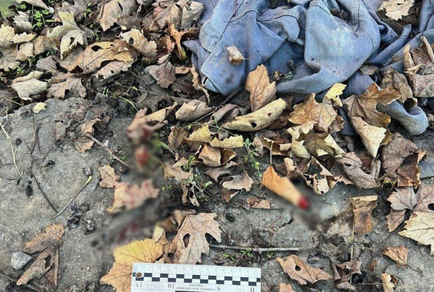 В Одесской области мужчина до смерти избил сожительницу и лёг спать