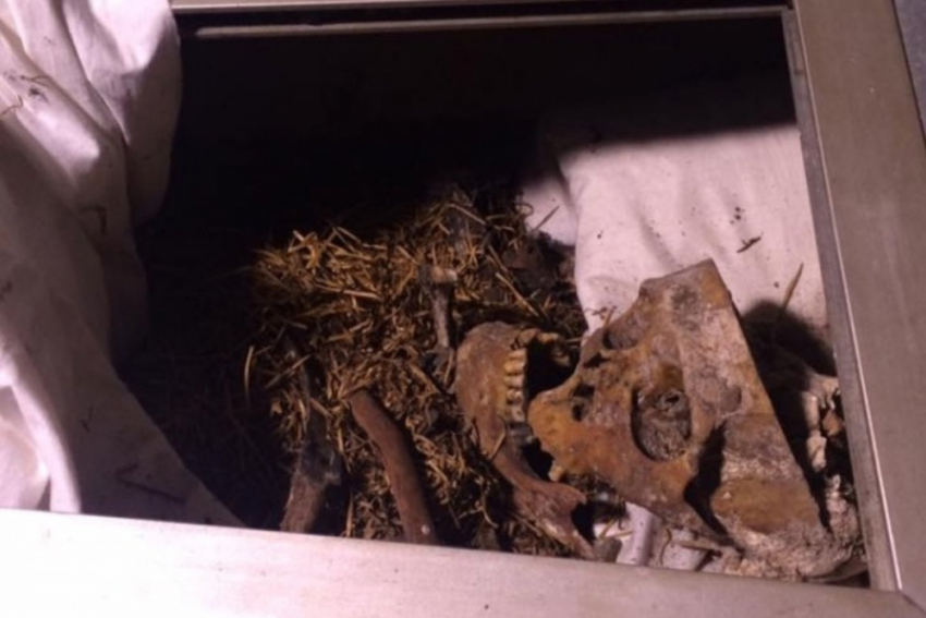 Кости разбиты и разбросаны: под Одессой разгромили саркофаг Григория Котовского