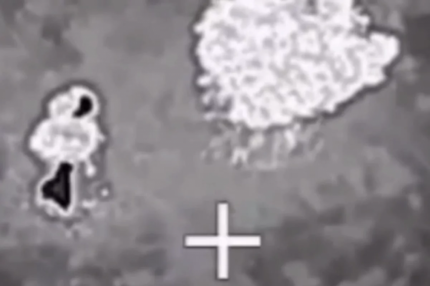 «Сожгли груз НАТО за минуты»: генерал Липовой заявил об ударах по портам Одессы