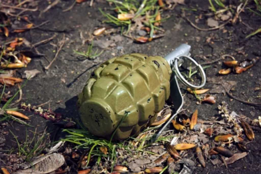 В школе на Одесчине взорвалась граната