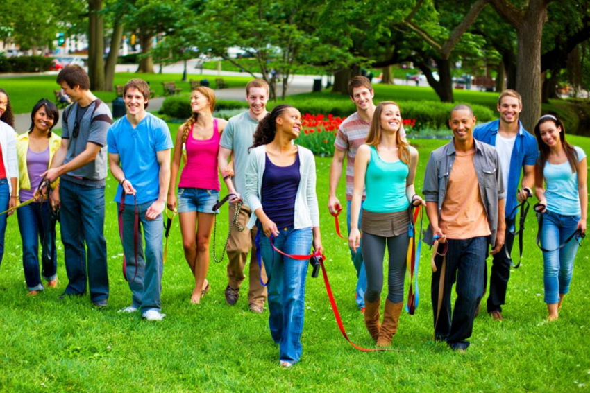 Одесский блогер в шоке от нового тренда — хоббидогинга