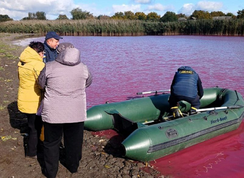 В Одесской области нашли кровавый пруд