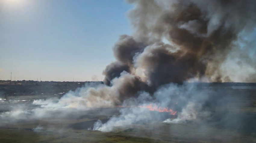 На Одесчине сгорели сотни гектаров земли