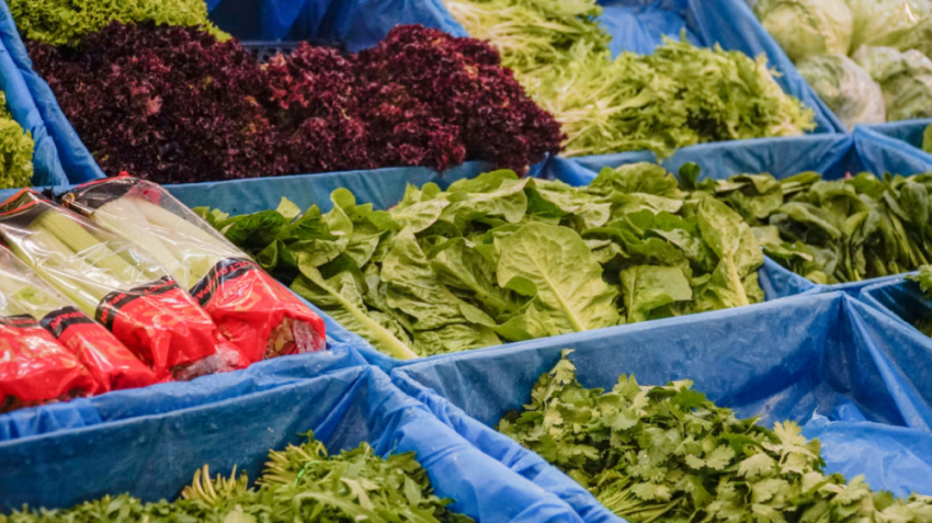 Цены на зелень в Одессе поползли вверх вслед за градусником