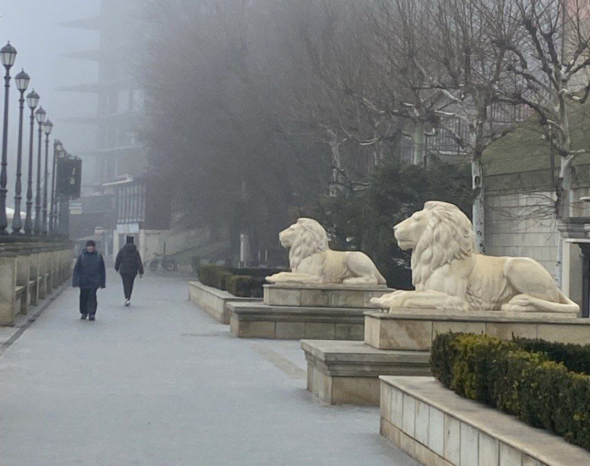 Синоптики рассказали, какой будет погода в Одессе в первый зимний месяц