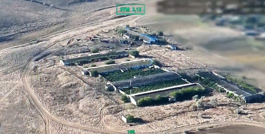В Одесской области накрыли плантацию конопли на 60 млн гривен
