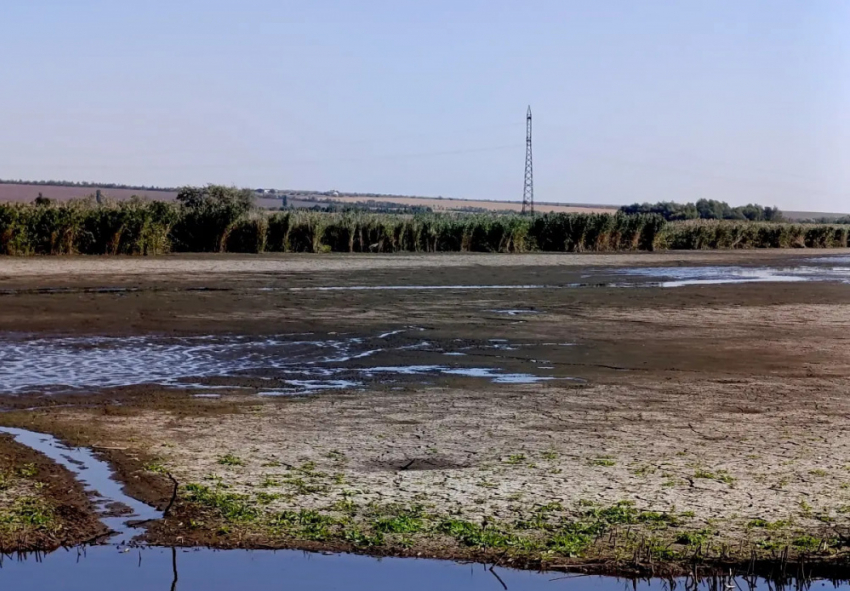 Дожди вернули жизнь реке Кодыма в Одессе: экологическая катастрофа отложена