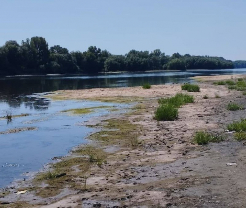 Останемся без воды? В Одесской области обмелел Днестр
