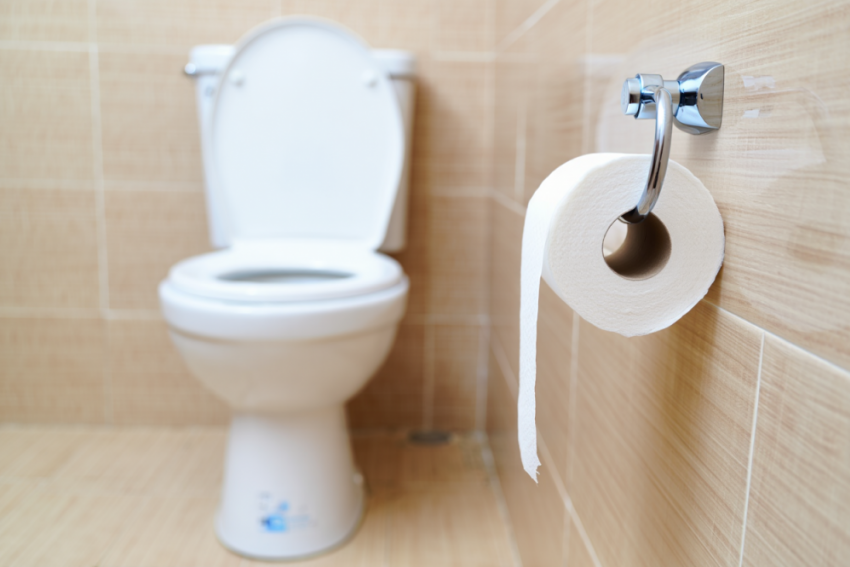 Заражение Дуная опасной инфекцией грозит Одесской области «туалетной эпидемией»