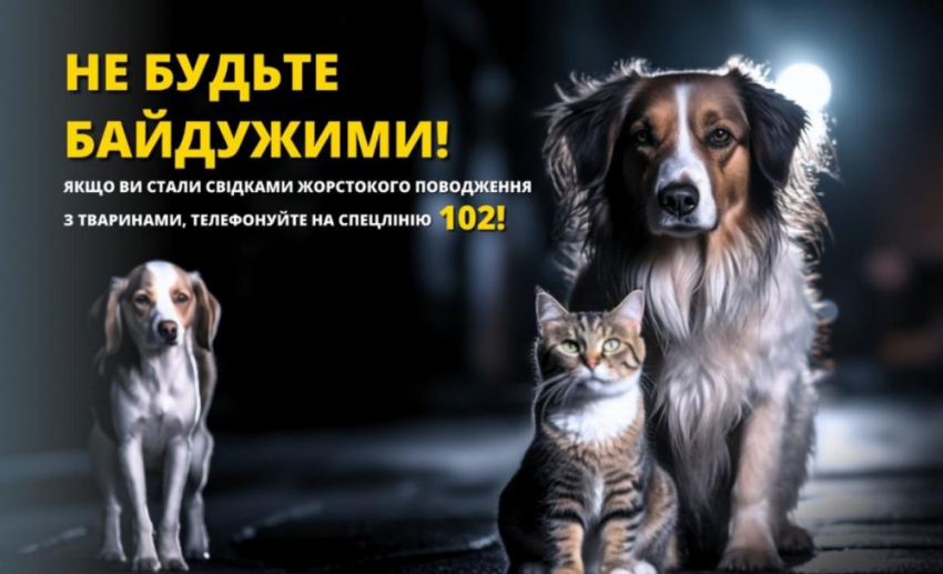 Житель Одесского района выстрелил в чужую собаку и увез раненое животное на окраину села