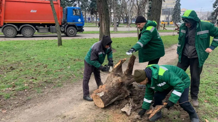 Шторм в Одессе повалил деревья и парализовал движение на улицах