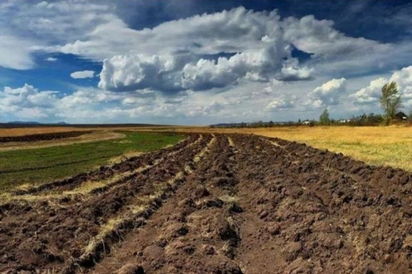 Земля в Одесской области стала одной из самых дешевых в Украине