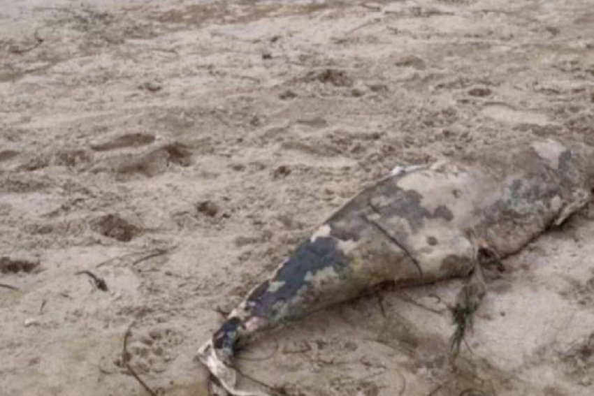 На одесском побережье обнаружили опасные загрязнения мазутом после крушения танкеров