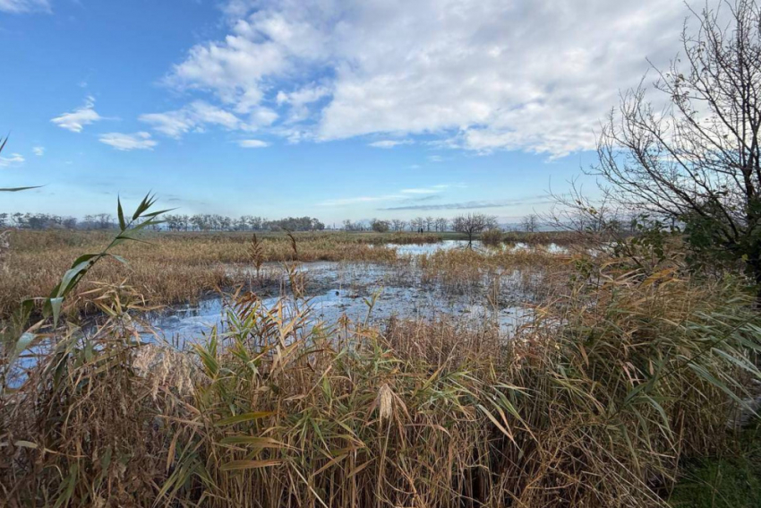 В Одесской области канализационные стоки спускают в природу, провоцируя эко-катастрофу