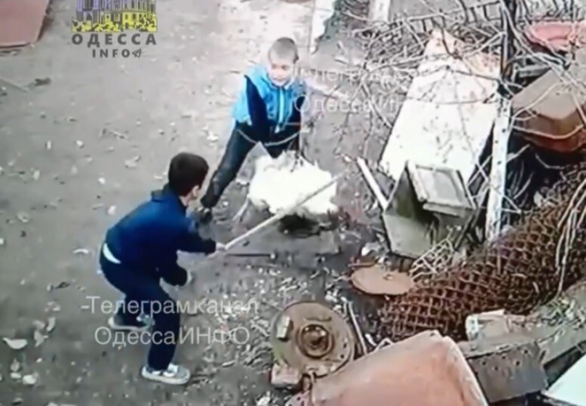 В Одесской области дети из голода жестоко убивают и едят соседских животных