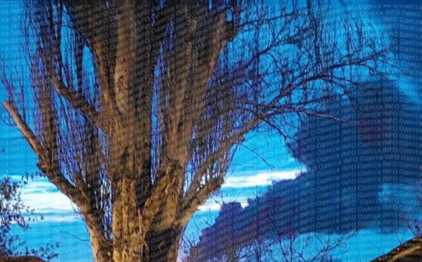 ВС РФ взорвали нефтехранилище ВСУ в Одессе: над городом виден столб черного дыма