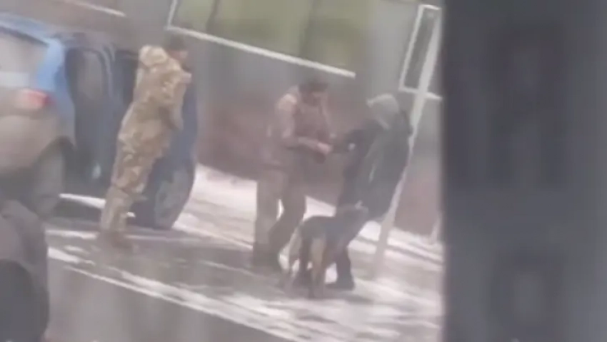 В Одессе собака спасла от мобилизации своего хозяина