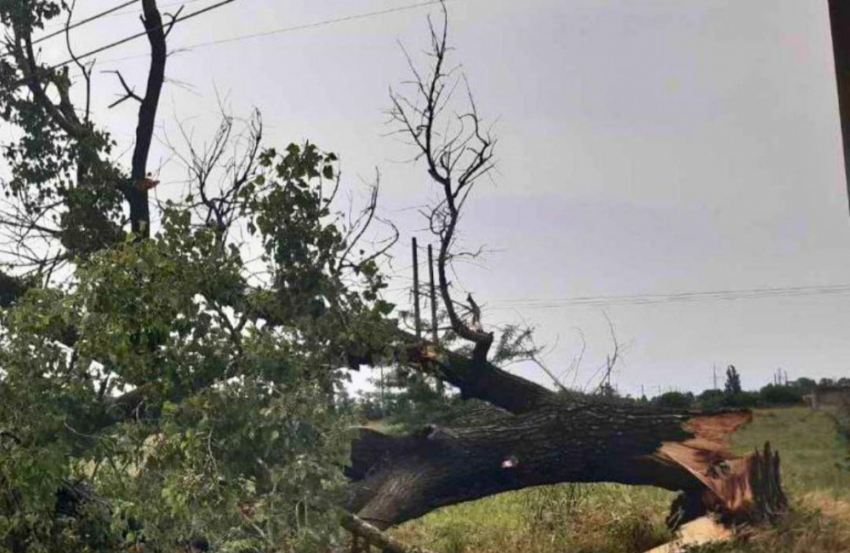 В Одесской области из-за сильного ветра начались отключения света