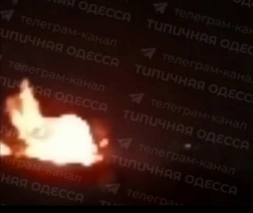 Очередная ракетная атака была совершена на Одесскую область