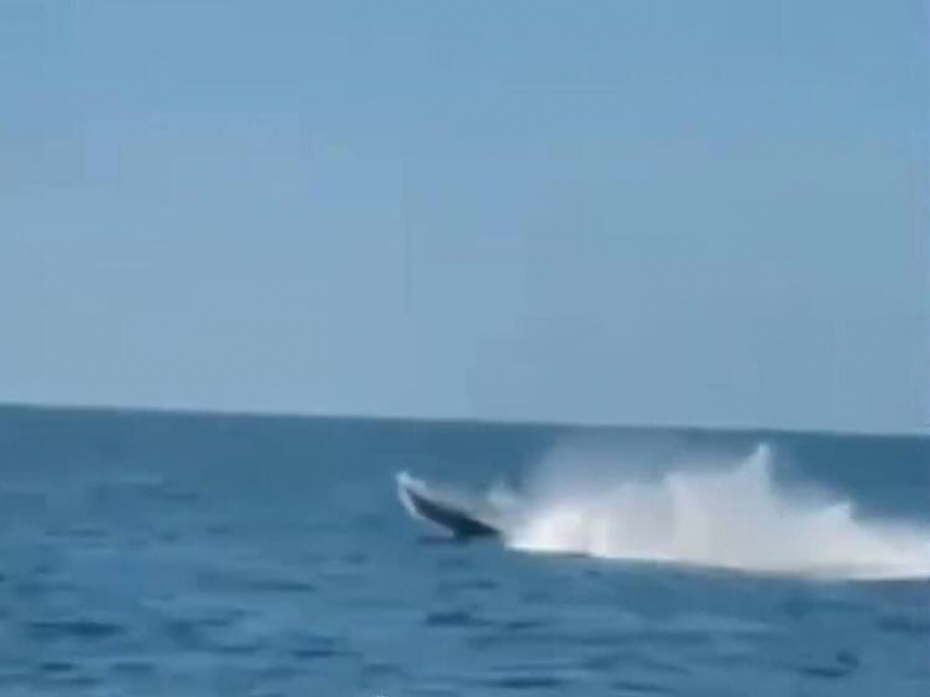 Румыния уничтожила украинский морской дрон Sea Baby в Черном море